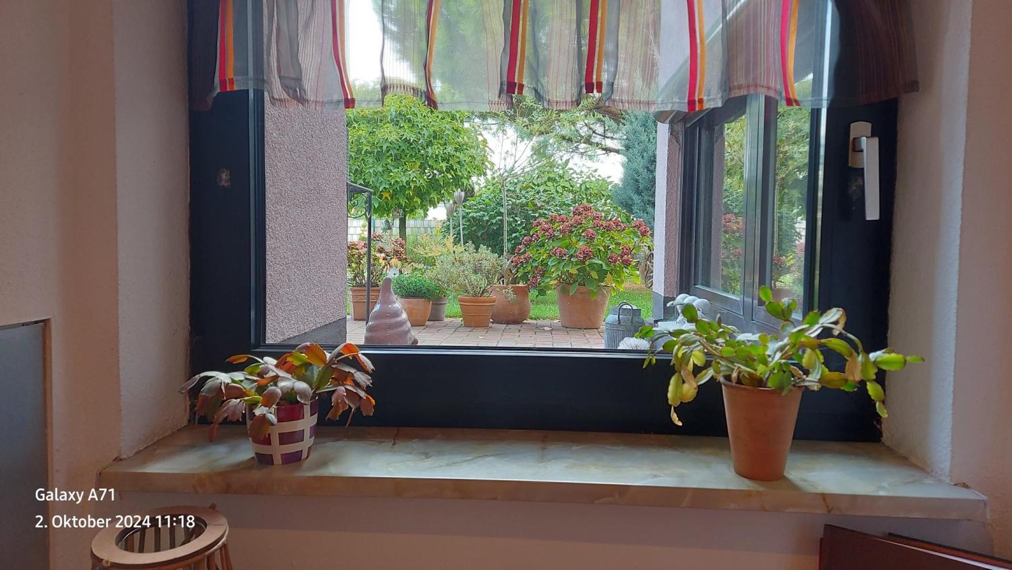 Ferienwohnung Zum Weinberg โกรสคาร์ลบาค ภายนอก รูปภาพ